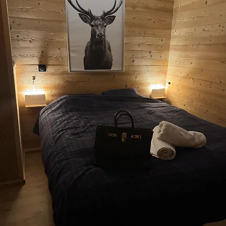 Tres Bel Avec Parking Gratuit Apartment *